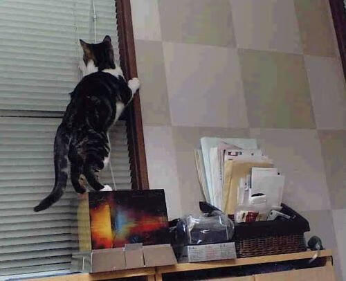 球员伤病频发折射体能储备问题