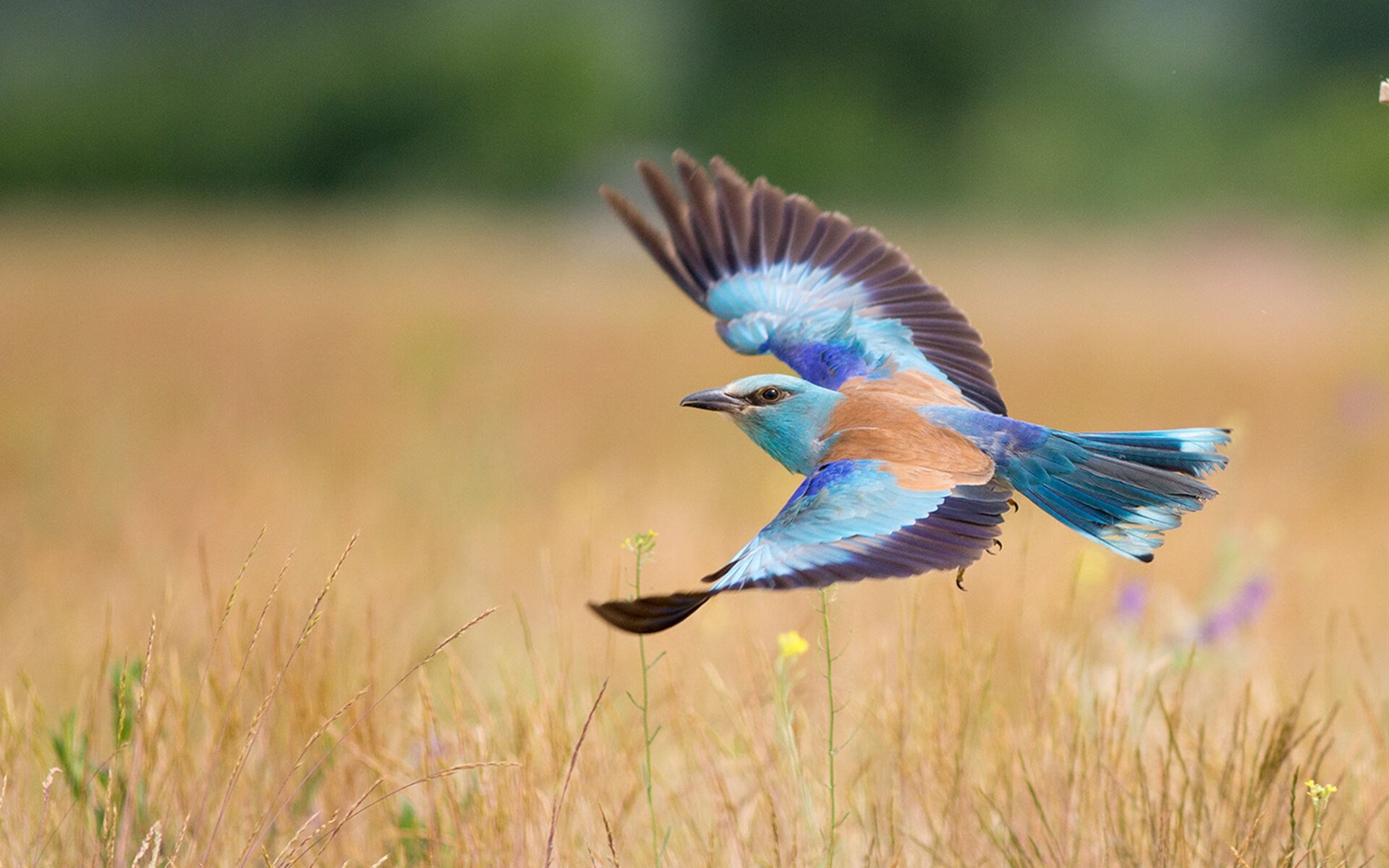 马拉松赛前营养指导课程受选手欢迎，马拉松赛前食谱