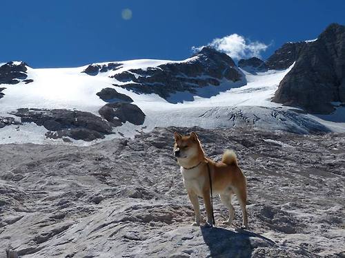 CBA新秀表现亮眼成为球队重要拼图，cba新秀首秀