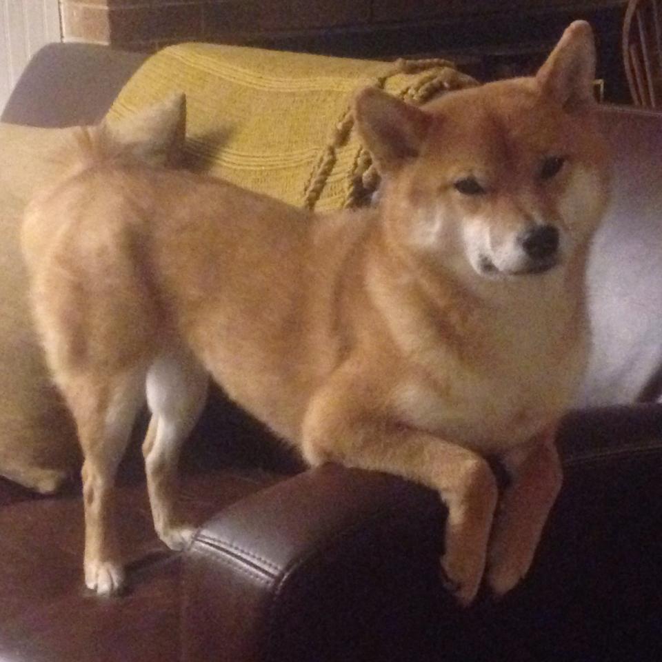 体育媒体新技术应用探讨,新媒体新技术体育课