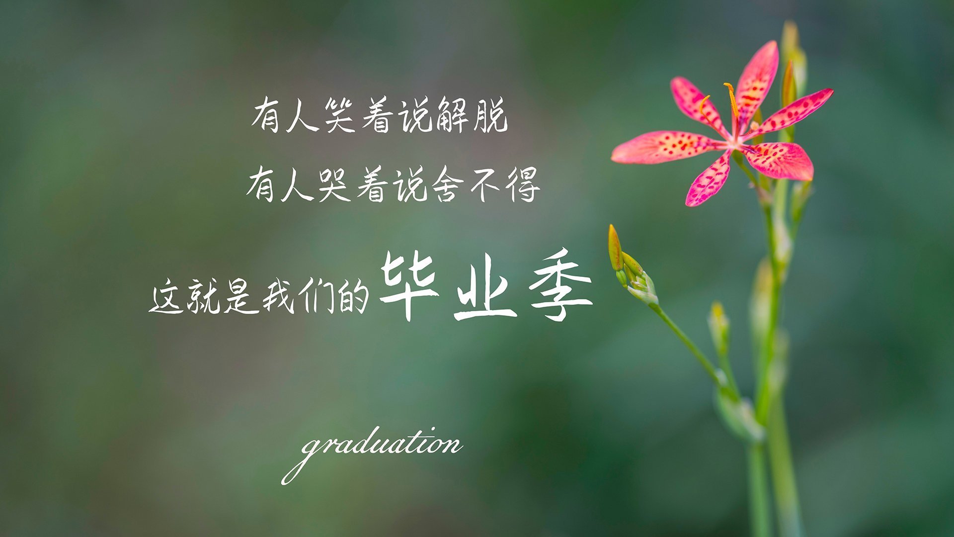 爱游戏官网首页-希腊男篮在欧洲锦标赛中实力稳固，期待实现三连冠梦想，希腊男子篮球联赛