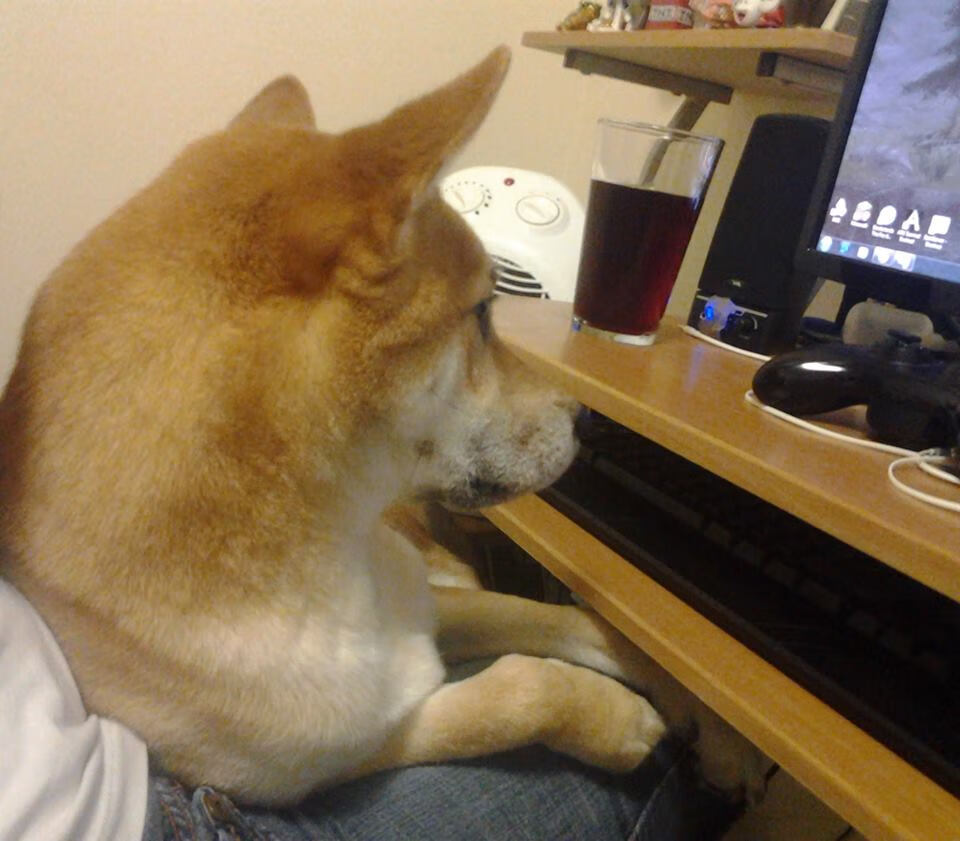 爱游互娱游戏官网-张雨霏训练节奏稳定教练组给予肯定，张雨霏的现任教练是哪里人