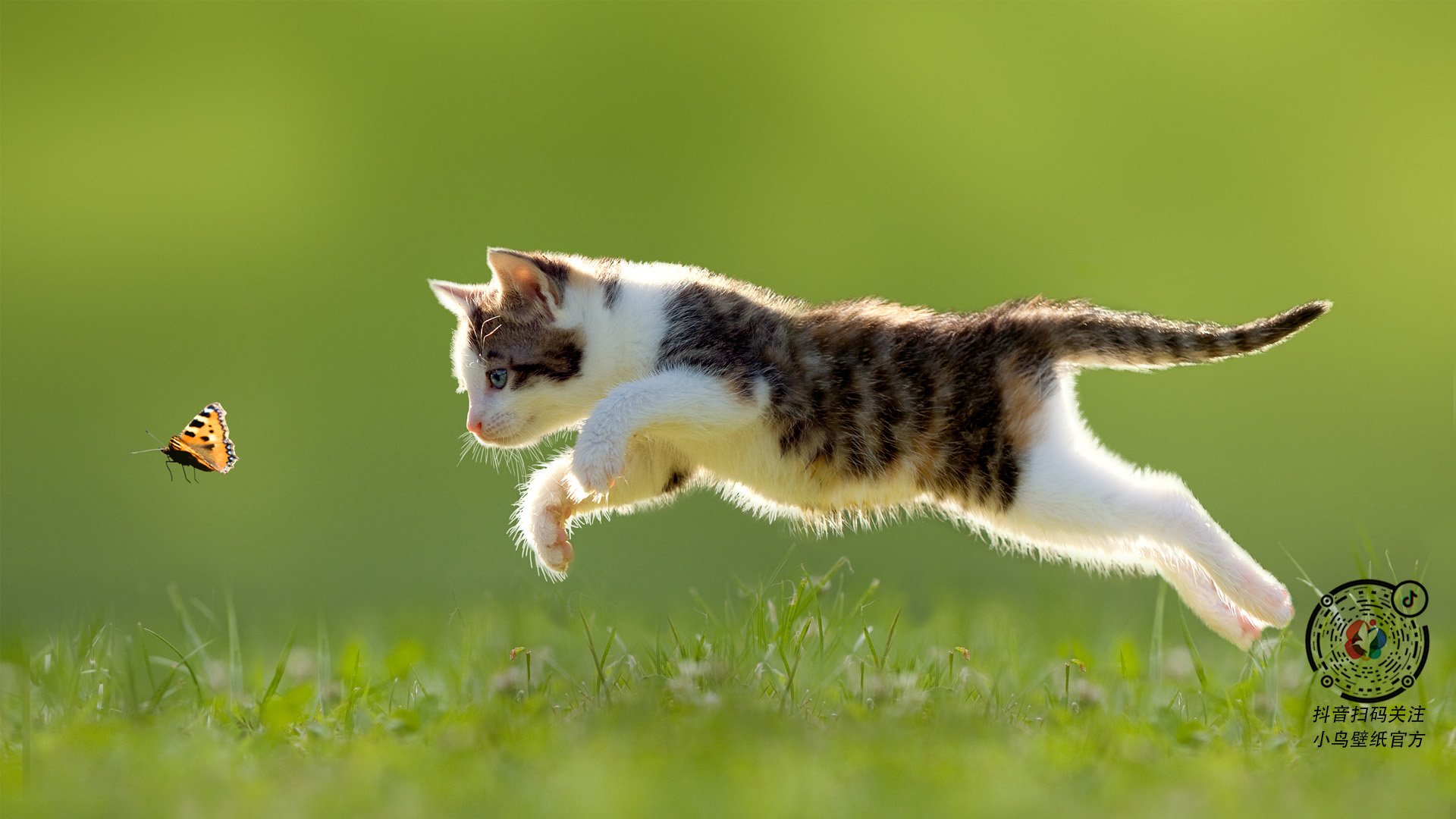 德甲科技与速度:数码攻防新体验!,德甲体系